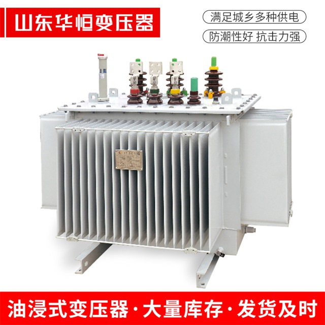 S13-10000/35日喀则日喀则日喀则电力变压器